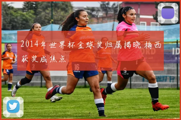 2014年世界杯金球奖归属揭晓 梅西获奖成焦点