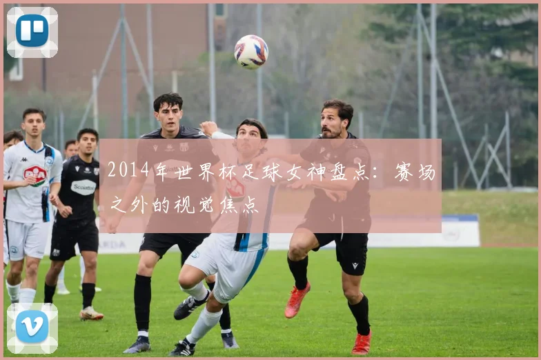 2014年世界杯足球女神盘点：赛场之外的视觉焦点