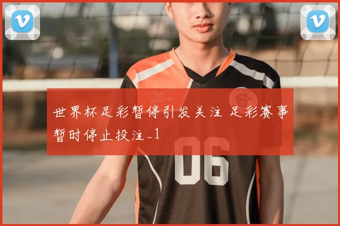 世界杯足彩暂停引发关注 足彩赛事暂时停止投注_1