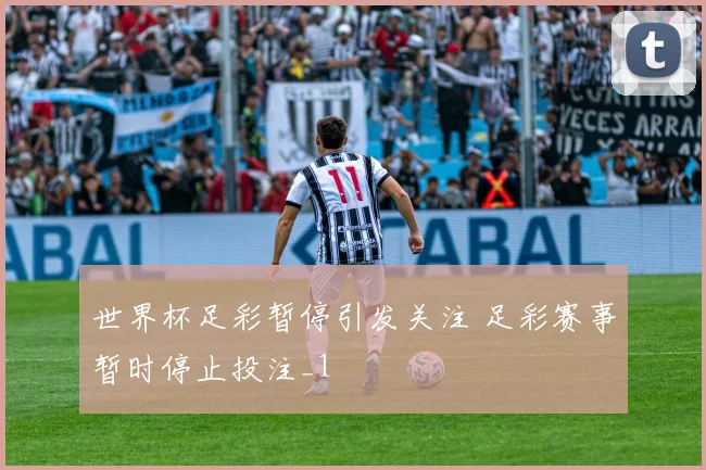 世界杯足彩暂停引发关注 足彩赛事暂时停止投注_1