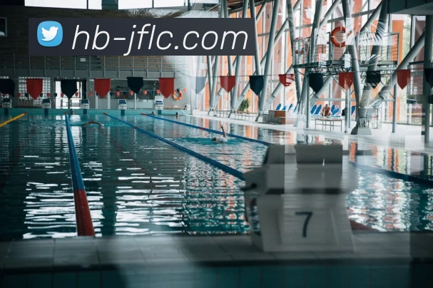 世界杯app官网平台生态图